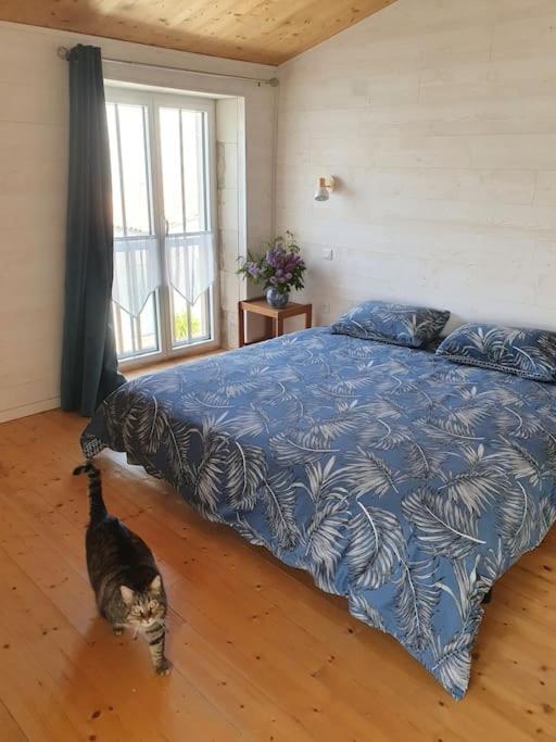 Le Chai Rit Villa Rivedoux-Plage Eksteriør bilde